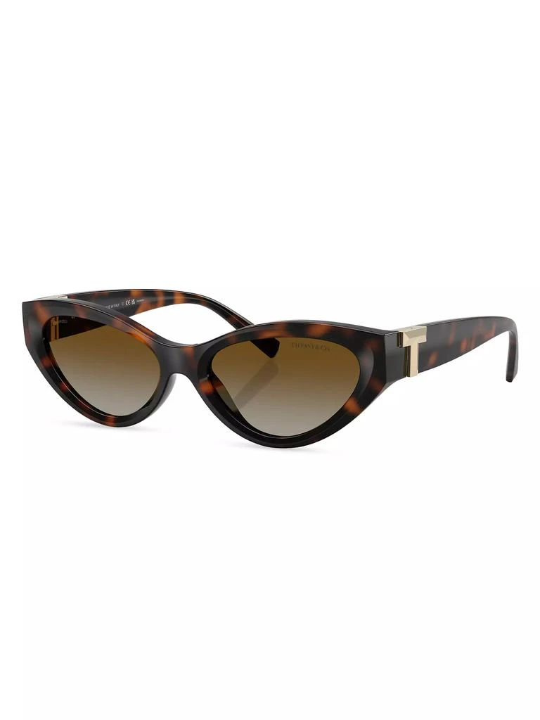 Tiffany & Co. Tiffany T 54MM Cat-Eye Sunglasses 1