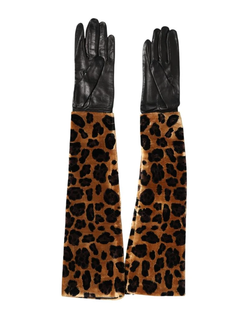 Dolce 
Gabbana Leopard Leather Elbow Length Mitten Women
s Gloves