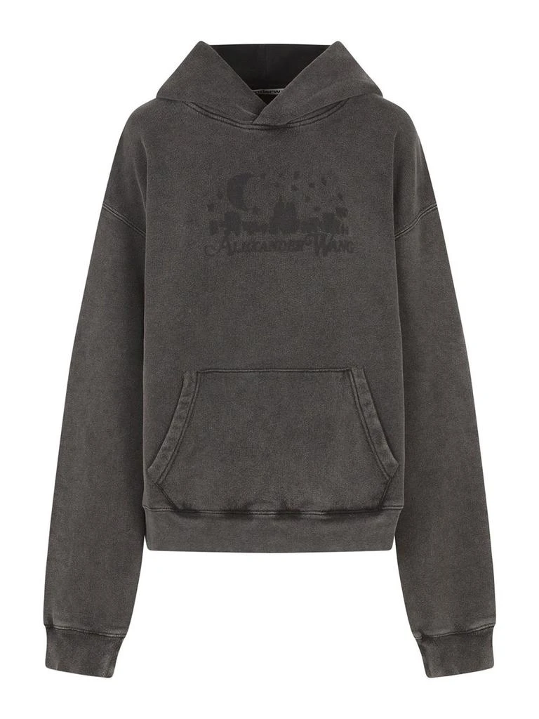 Alexander Wang Logo Hoodie 1