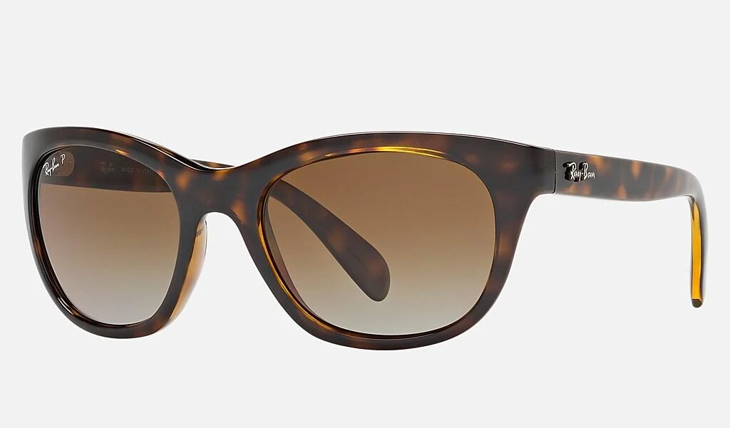 Ray-Ban RB4216 1