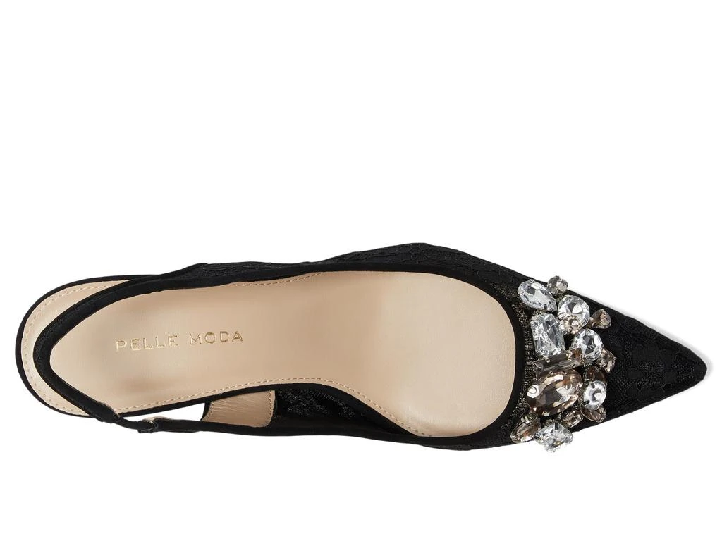 Pelle Moda Adenn 2