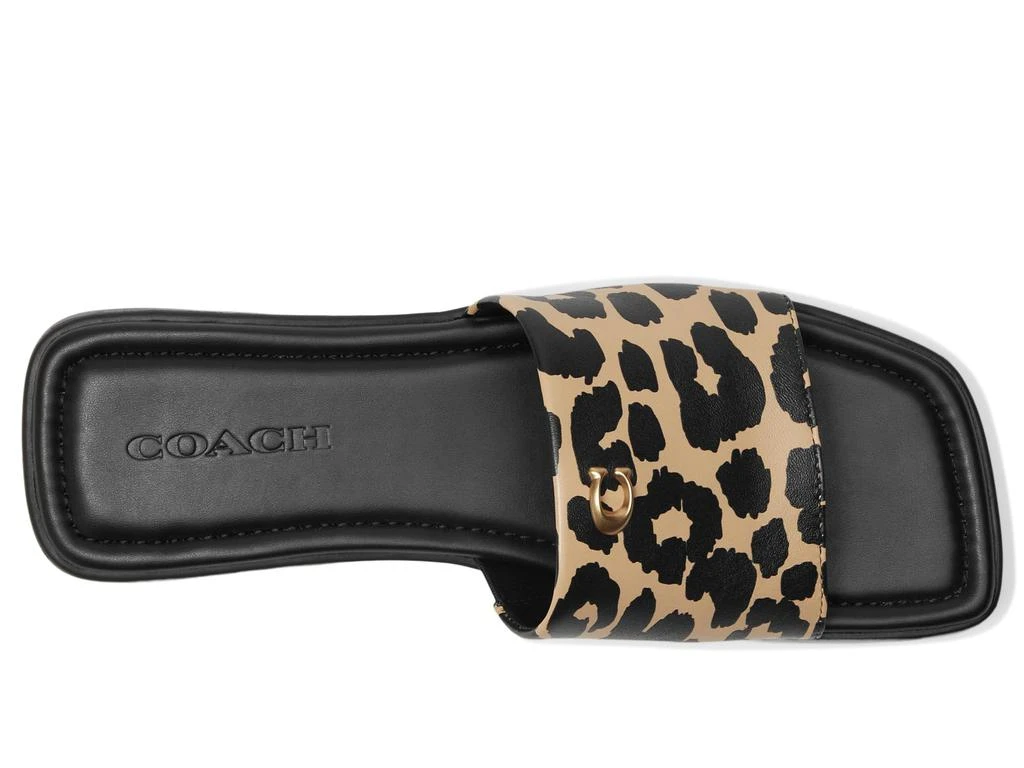 Coach Florence Sandal with Leopard Print 2