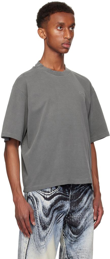 CAMPERLAB Gray Organic Cotton T-shirt