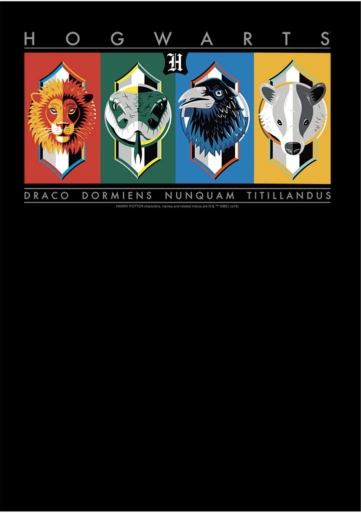 Harry Potter Boys 4-7  Hogwarts House Symbols Graphic T-Shirt 3