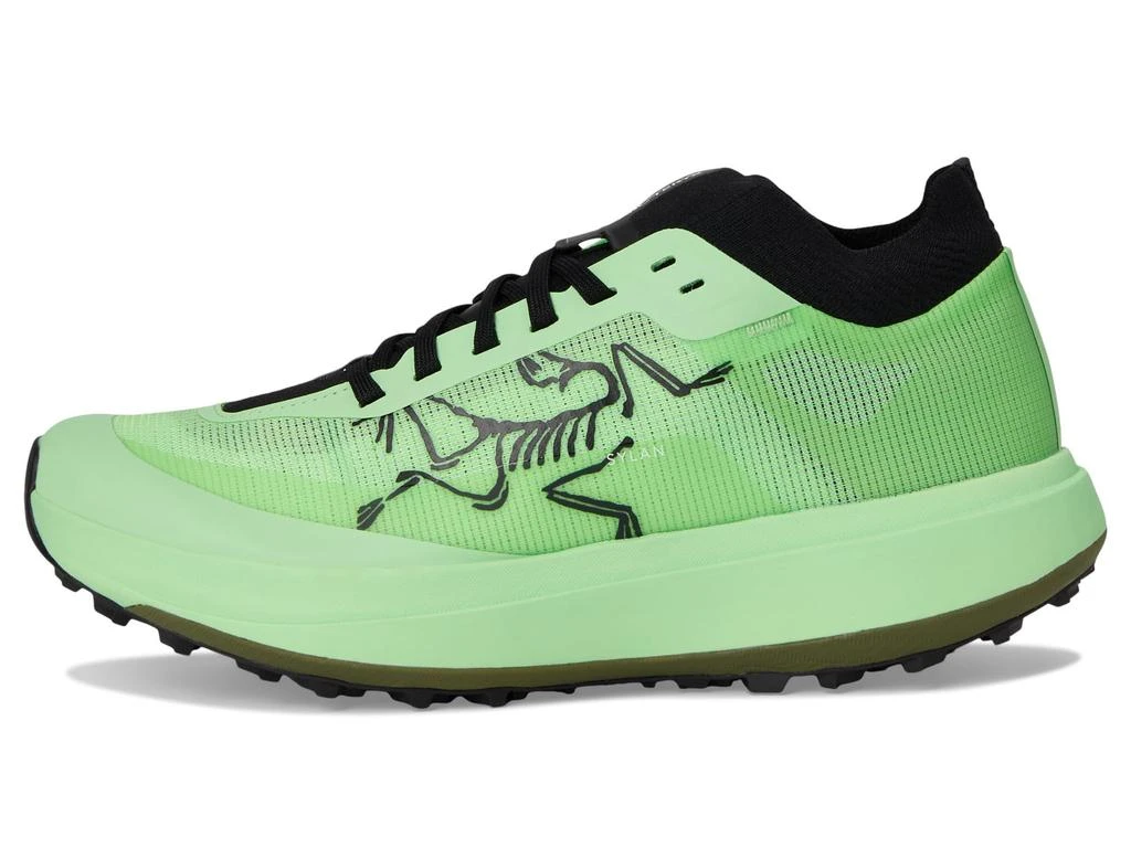 Arc'teryx Sylan Pro 4