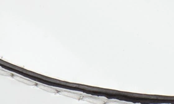 Linea Paolo Marcy Derby 7