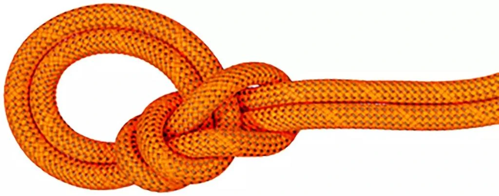 Mammut Mammut 9.8 Crag Dry Rope 1