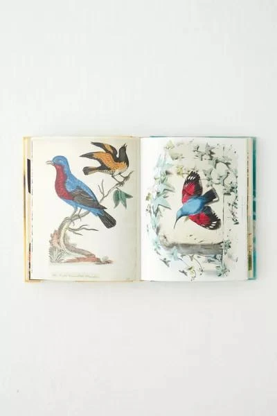 Urban Outfitters John Derian Sticker Book By John Derian 2