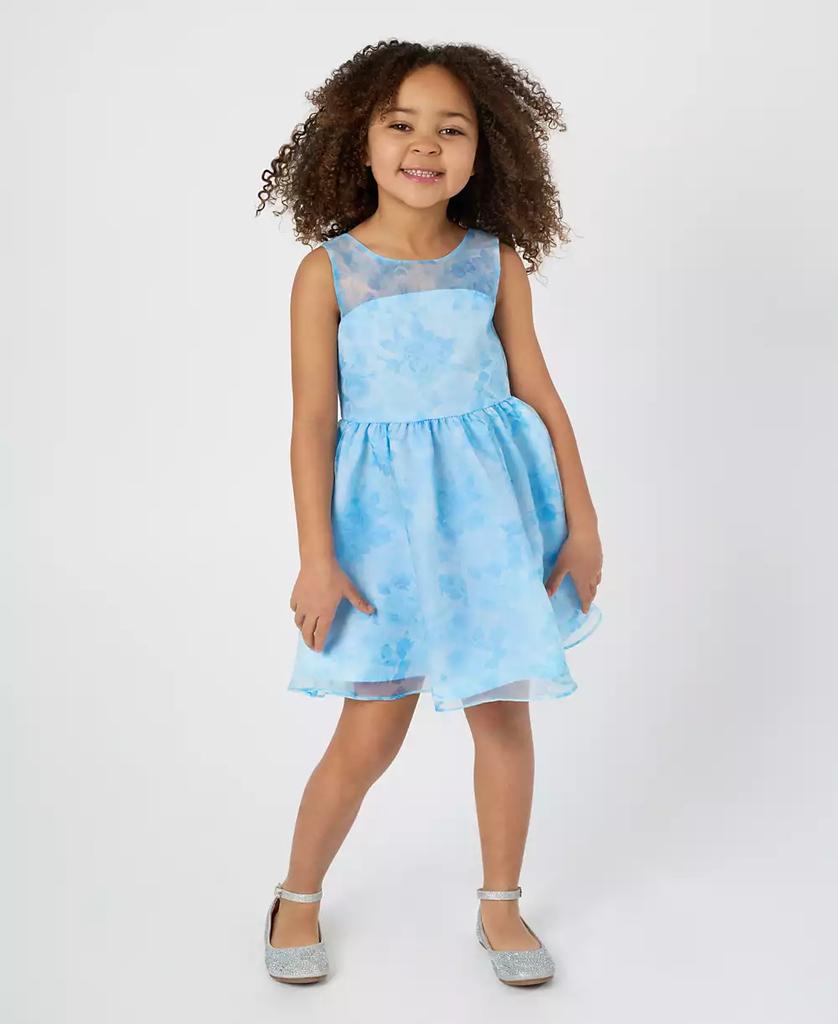 Rare Editions Toddler and Little Girls Floral Organza Social Dress