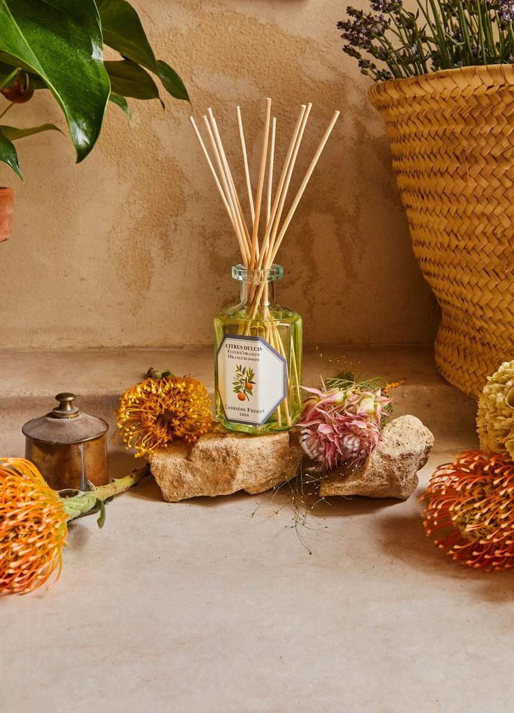Carriere Freres Fragrance diffuser Orange Blossom - Citrus Dulcis 200 ml 3