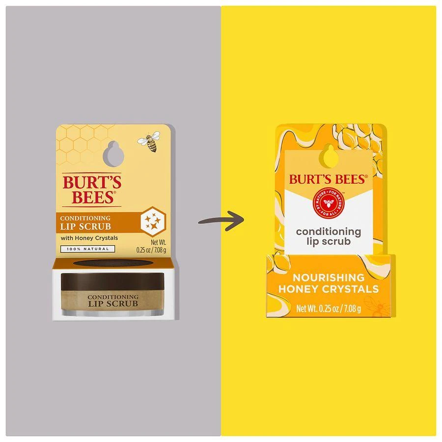 Burt's Bees Conditioning Lip Scrub 3