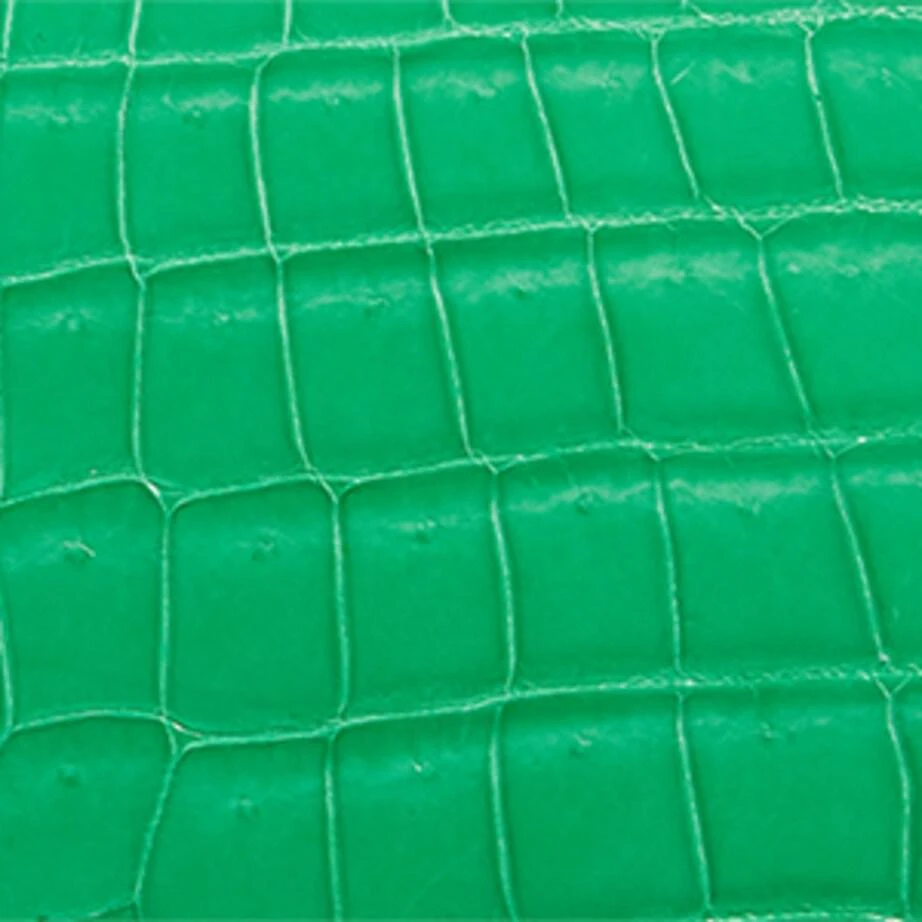 Ethan K Crocodile Leather Clutch Bag 7