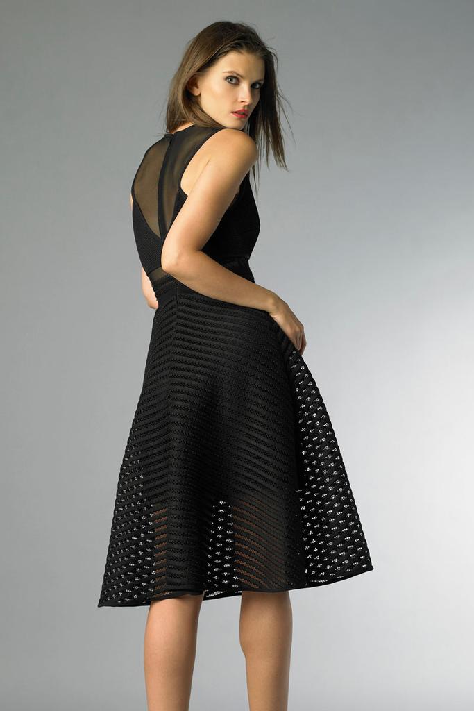 Basix Black Label Sleeveless Cocktail Dress With Sheer