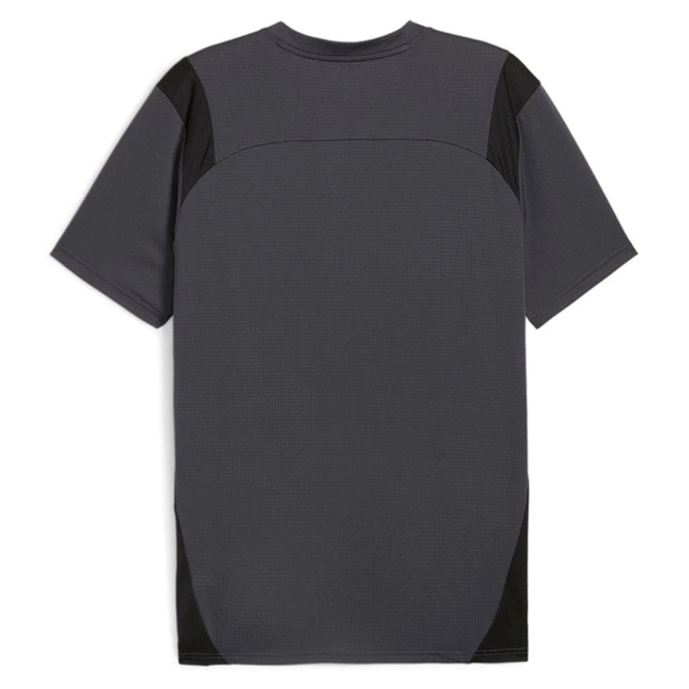 Puma King Pro Crew Neck Short Sleeve Soccer Jersey 2