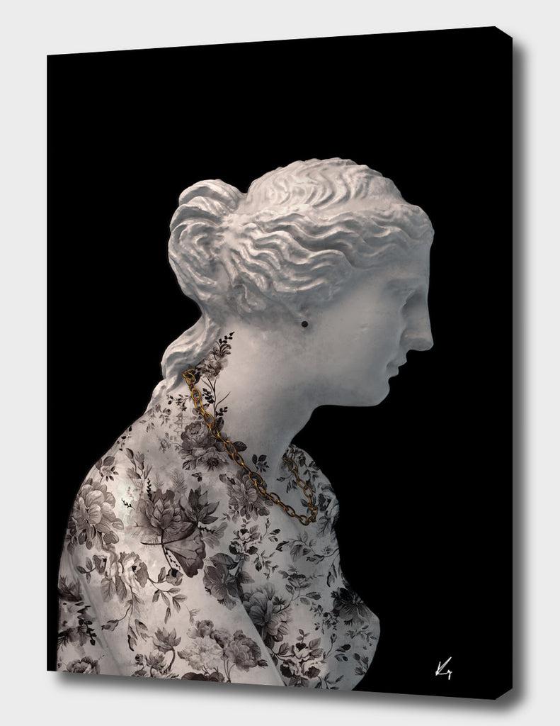 Curioos Venus V2