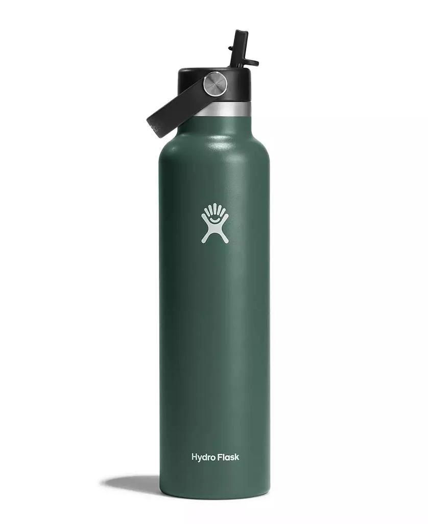 Hydro Flask 24 oz Standard Mouth with Flex Straw Cap 2