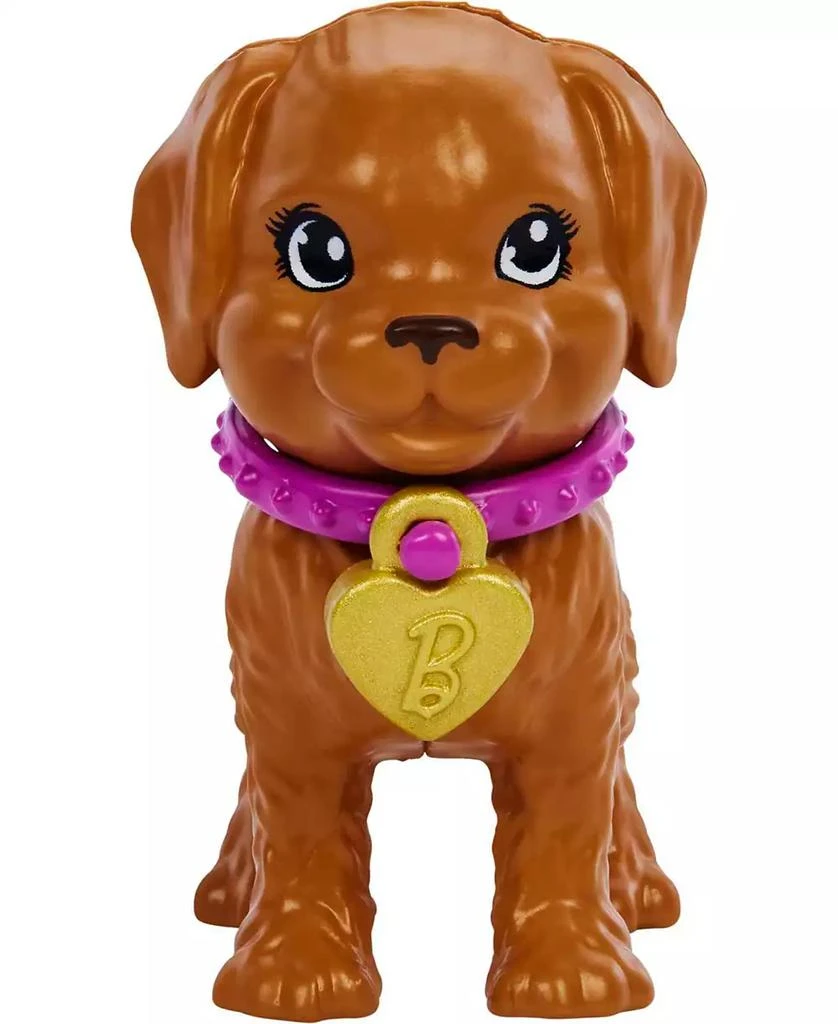 Barbie Doll and Accessories Pup Adoption Playset with Doll, 2 Puppies and Color-Change 8