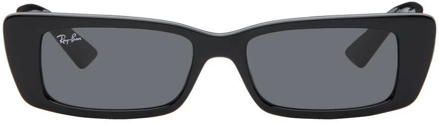 Ray-Ban Black Teru Sunglasses 1