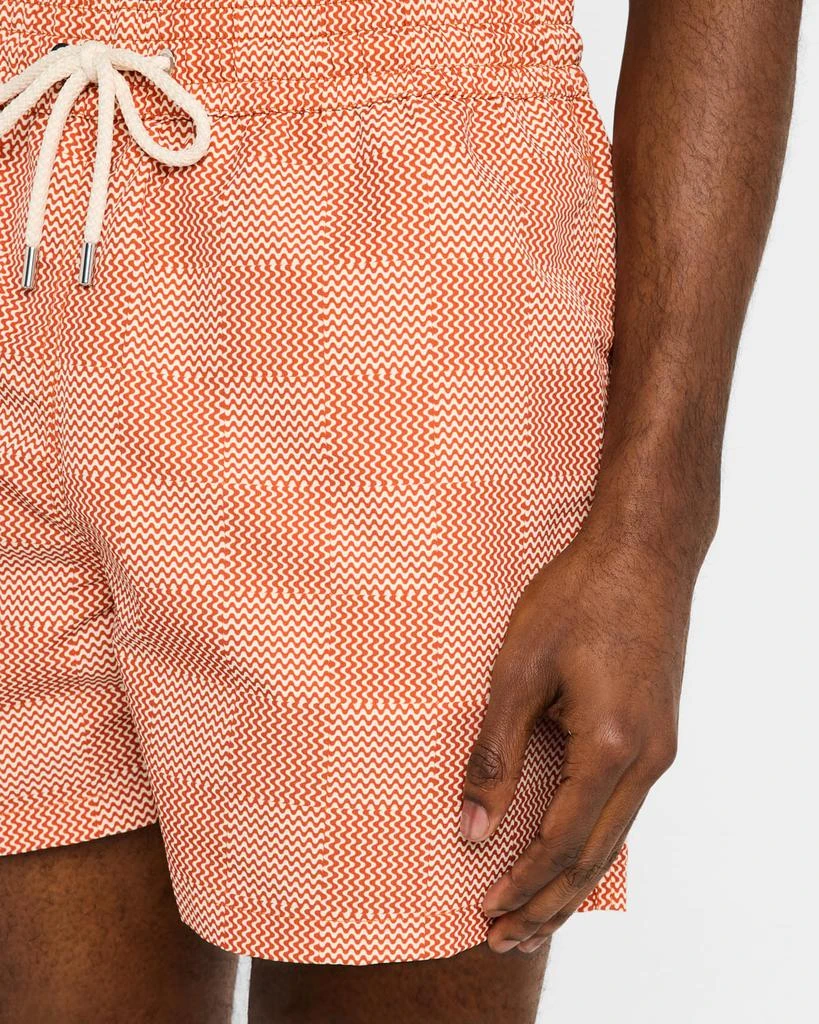 Frescobol Carioca Men's Sport Copa Check Swim Shorts 4