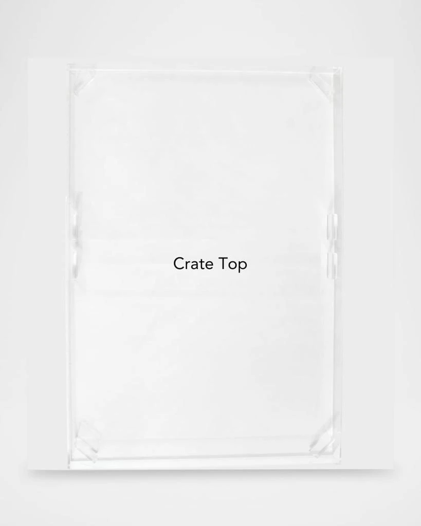 HIDDIN Small Clear View Pet Crate with Golden Latches 3