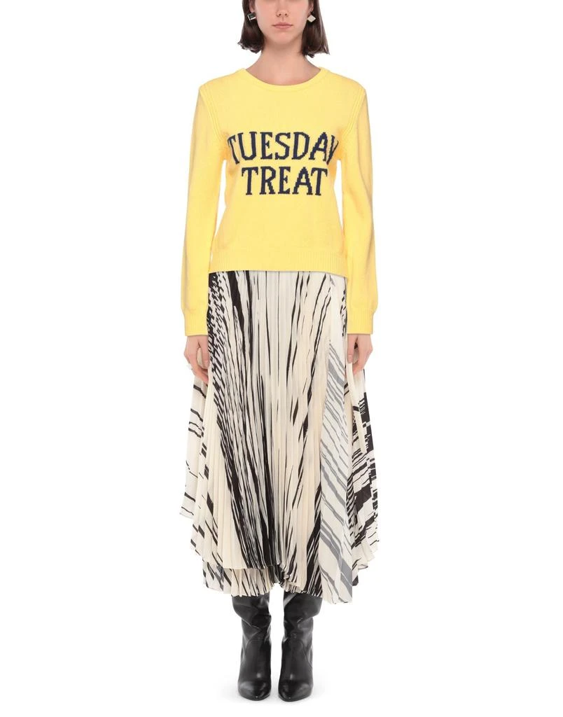 Alberta Ferretti Sweater 2