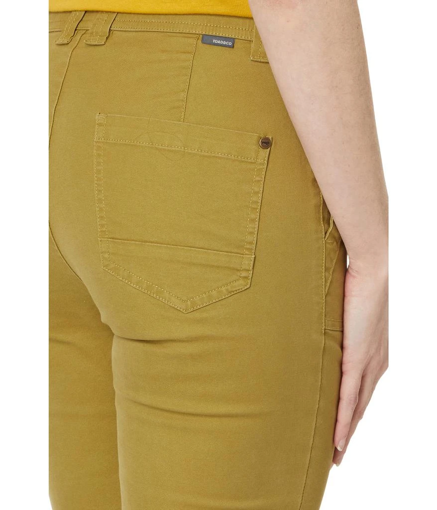 Toad & Co Earthworks Ankle Pants 3