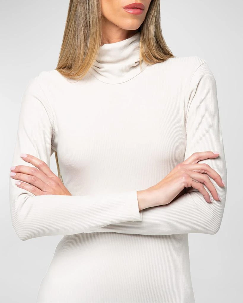 JBQ Miranda Turtleneck Maxi Dress 3