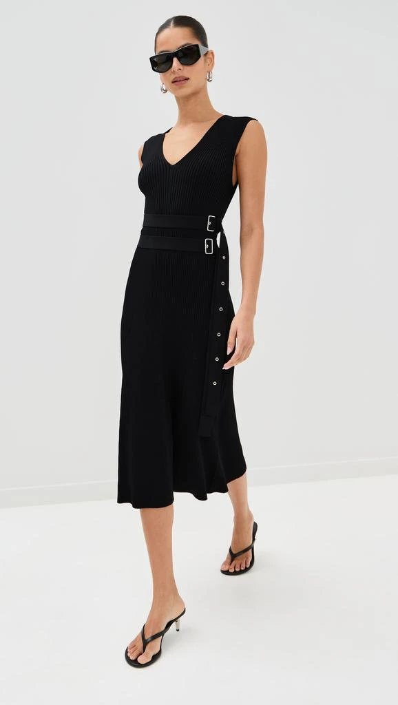 Proenza Schouler Madeline Dress 4