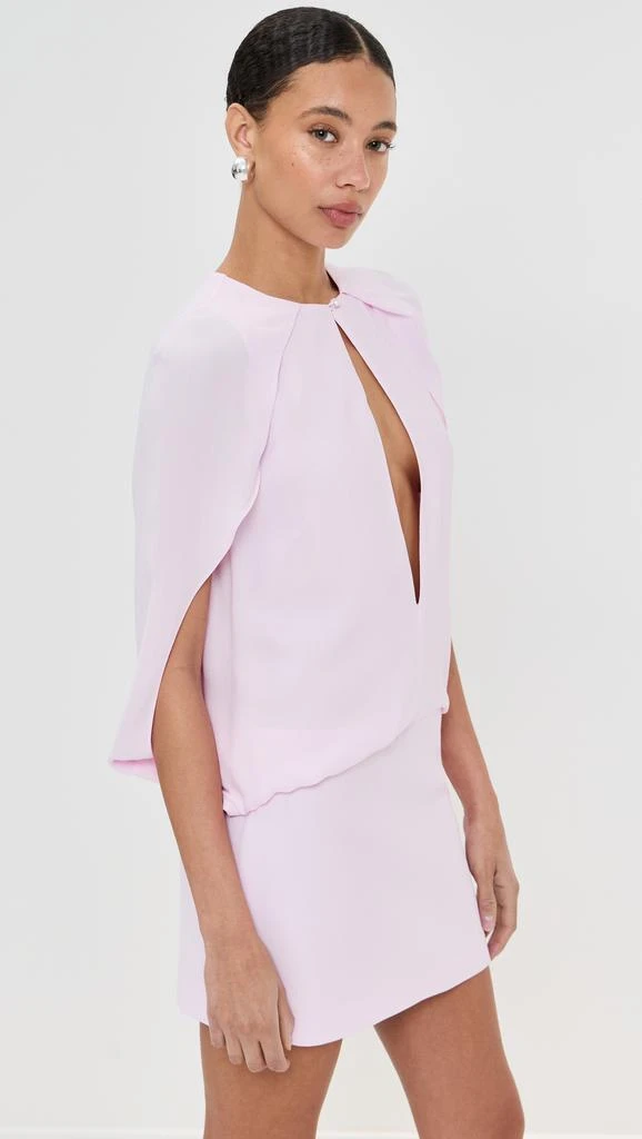 Brandon Maxwell The Edith Deep V Cape Mini Dress 3