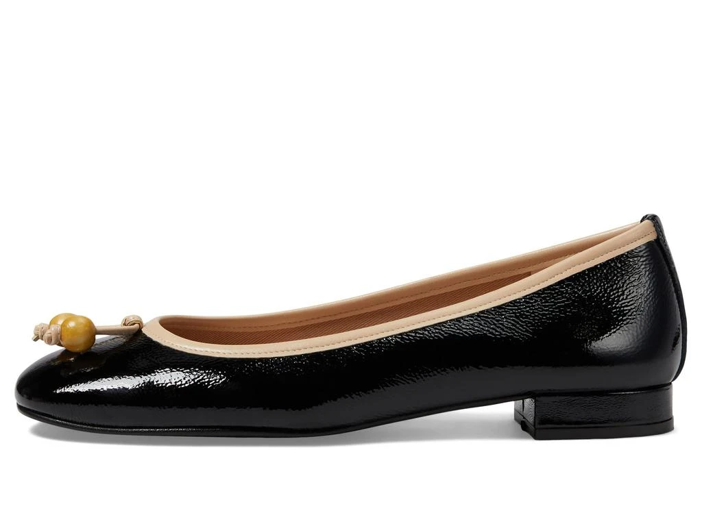 French Sole Rumba 4