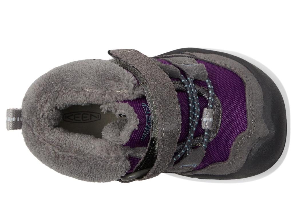 Keen Knotch Chukka (Toddler)