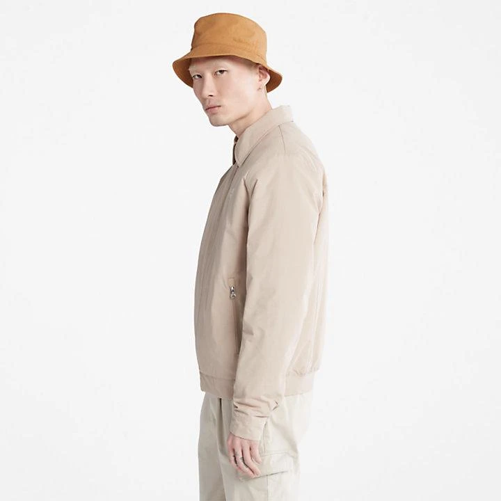 Timberland Men's Stratham Winter Bomber Jacket in Beige 4