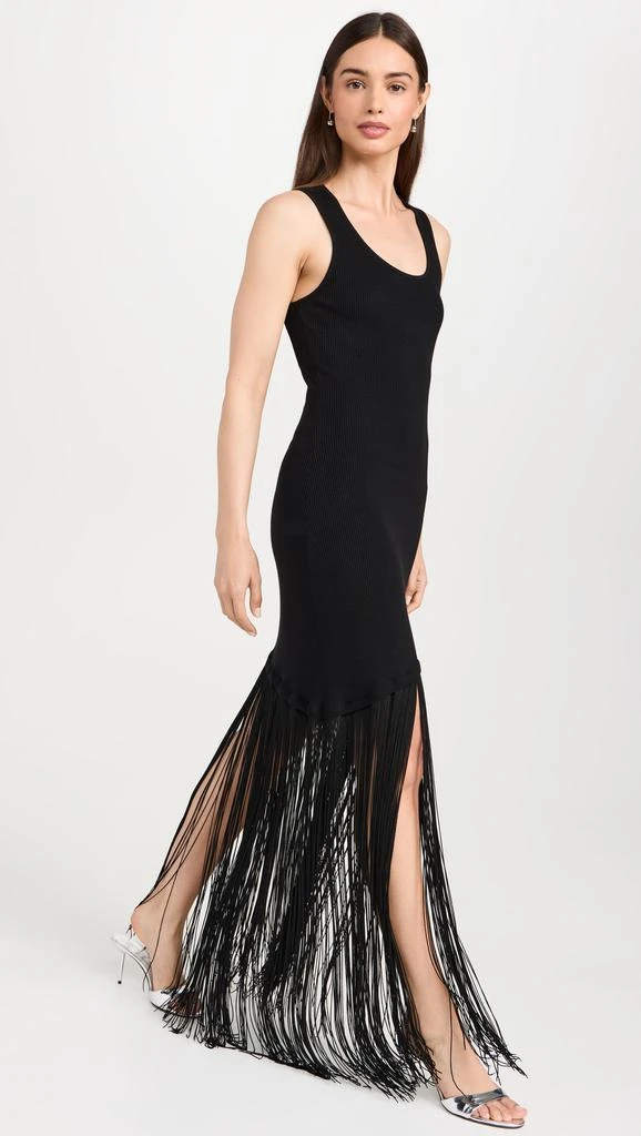Le Superbe Fringe Hem Tank Dress 4