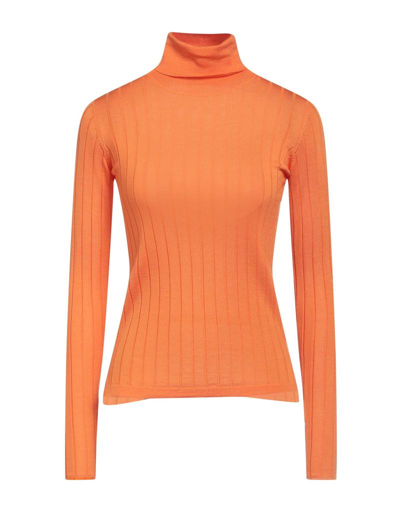 Aragona Turtleneck