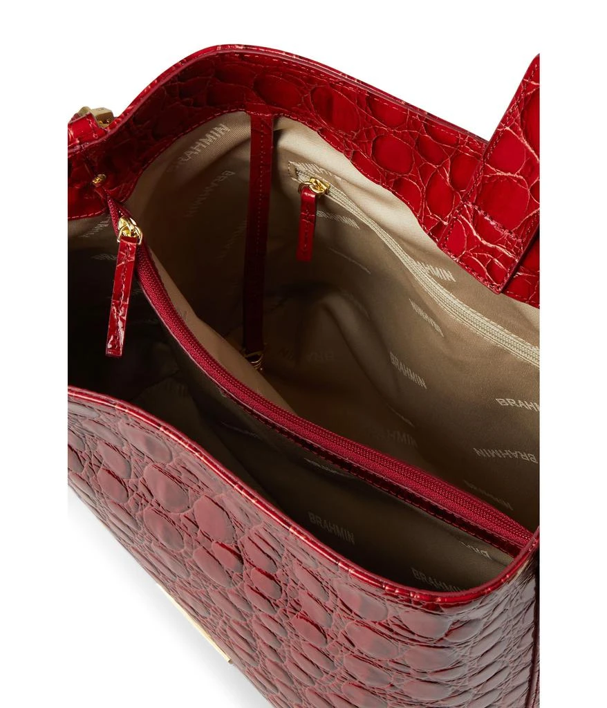 Brahmin Celina 3