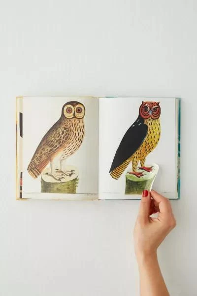 Urban Outfitters John Derian Sticker Book By John Derian 3