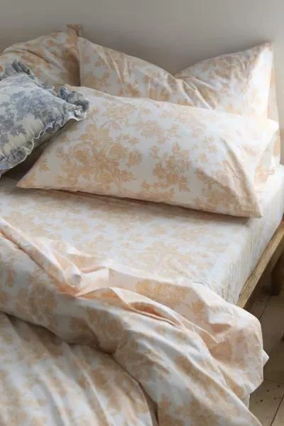 Urban Outfitters Toile Sheet Set 4