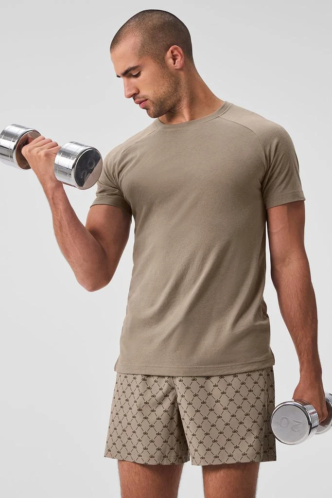 Alo Triumph Raglan Tee - Gravel 4