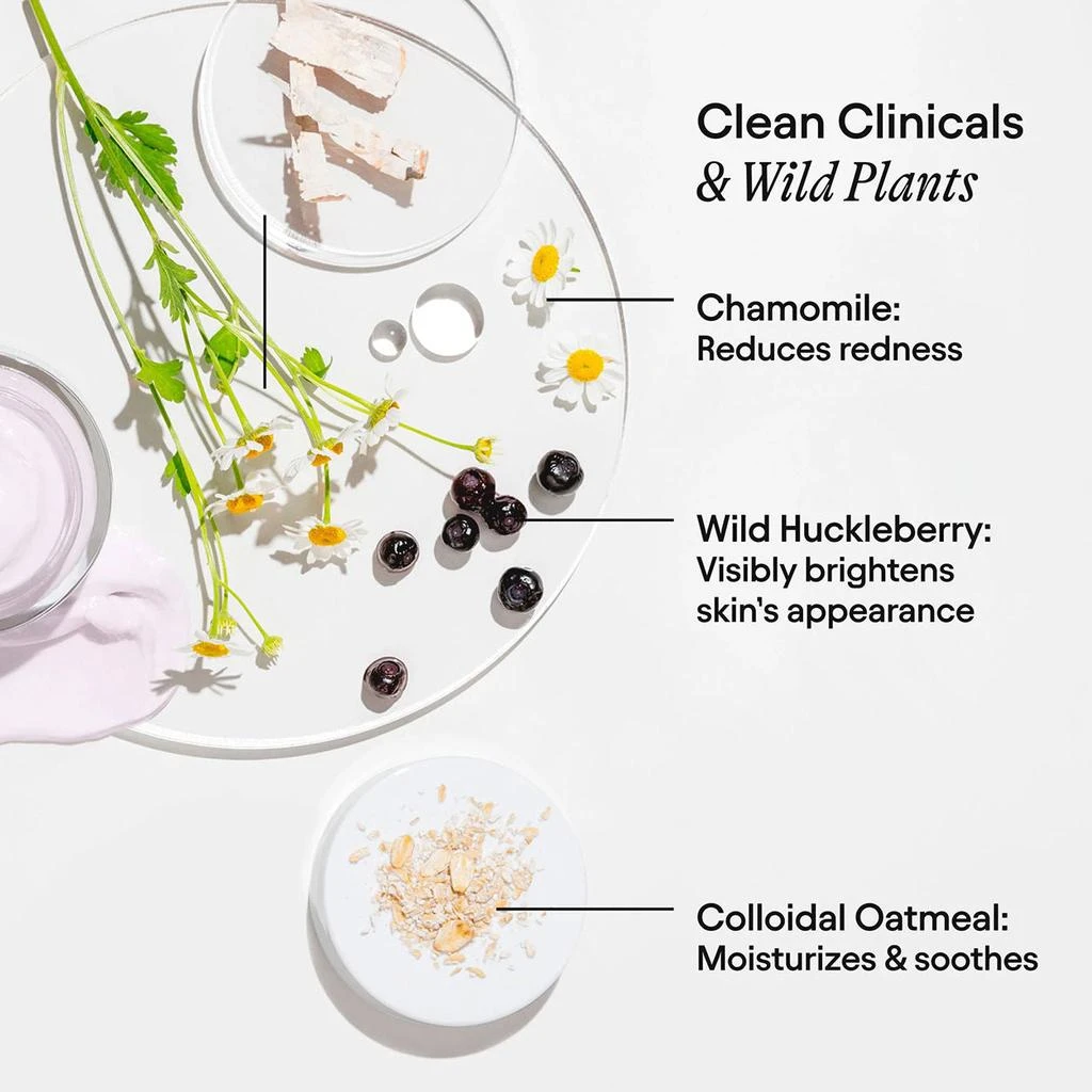 Alpyn Beauty Wild Huckleberry Radiance Recovery Peel 9
