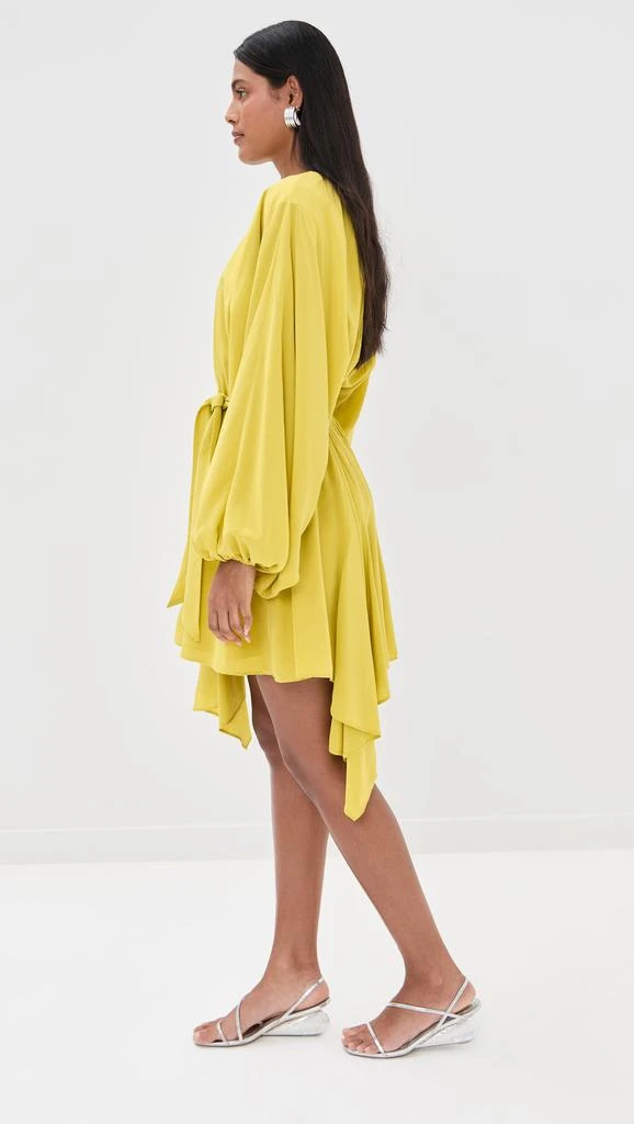 Azeeza Naila Mini Dress 3