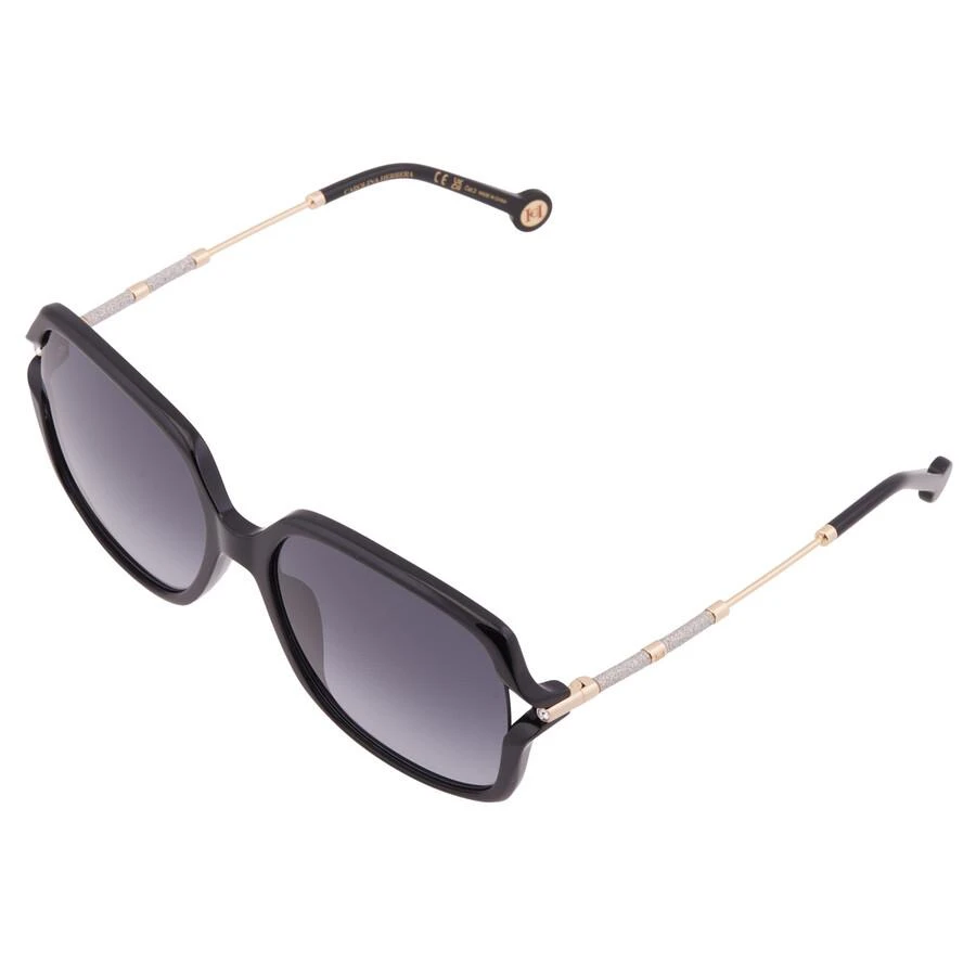 Carolina Herrera Carolina Herrera Grey Shaded Butterfly Ladies Sunglasses HER 0132/G/S 0807/9O 58 3
