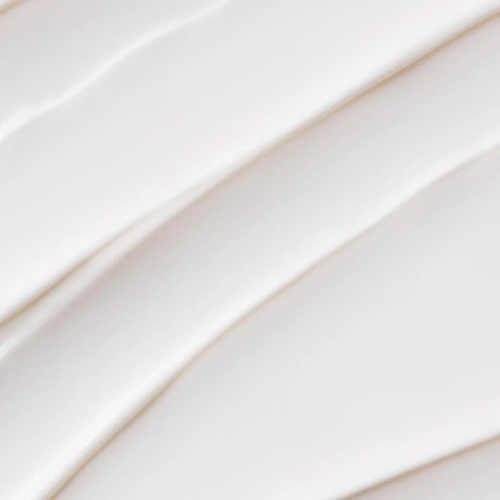 Dermalogica Dermalogica Prisma Protect SPF 30 4