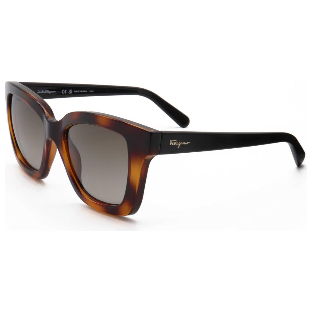 Salvatore Ferragamo Ferragamo Women's Sunglasses SF955S-214