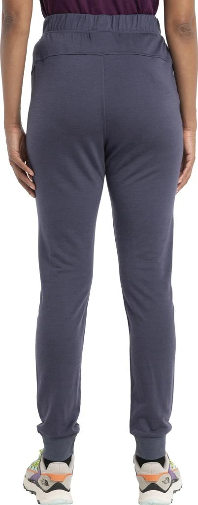 Icebreaker 200 Crush II Merino Blend Pant - Women's 3