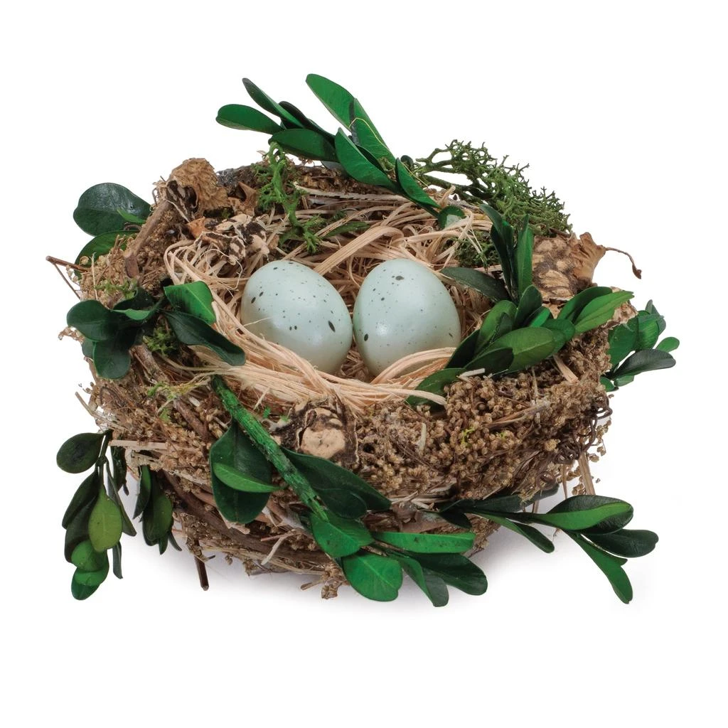 Hivvago Twig Bird Nest with Eggs and Boxwood Foliage (Set of 12)