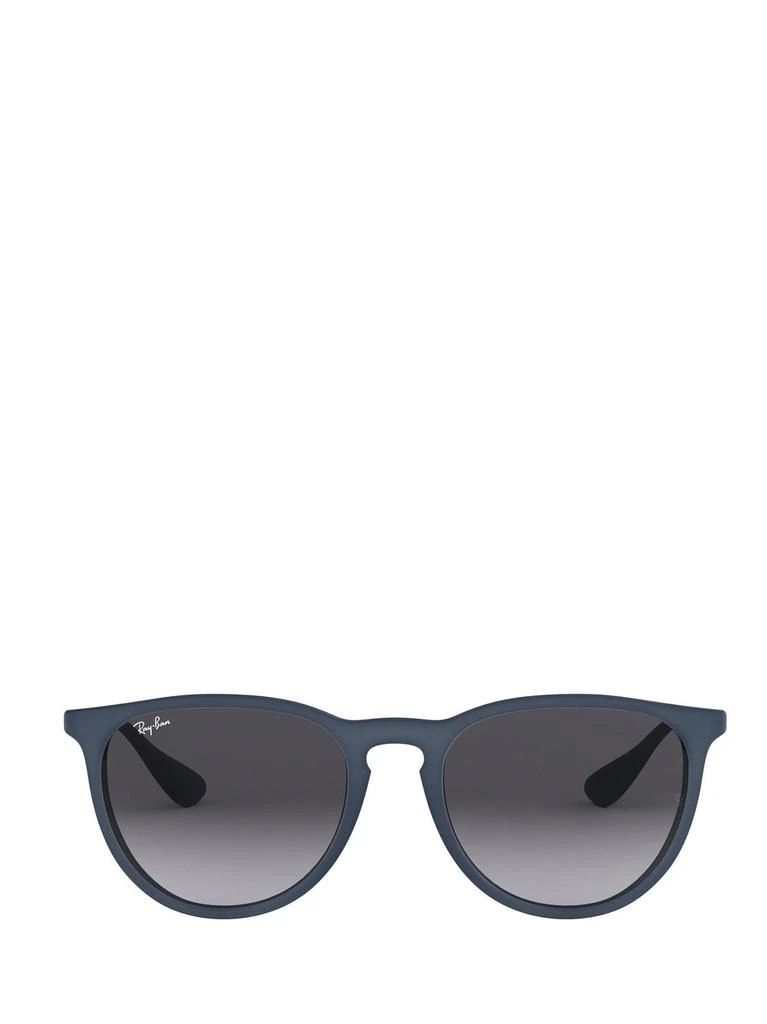 Ray-Ban Ray-Ban Erika Classic Sunglasses 1