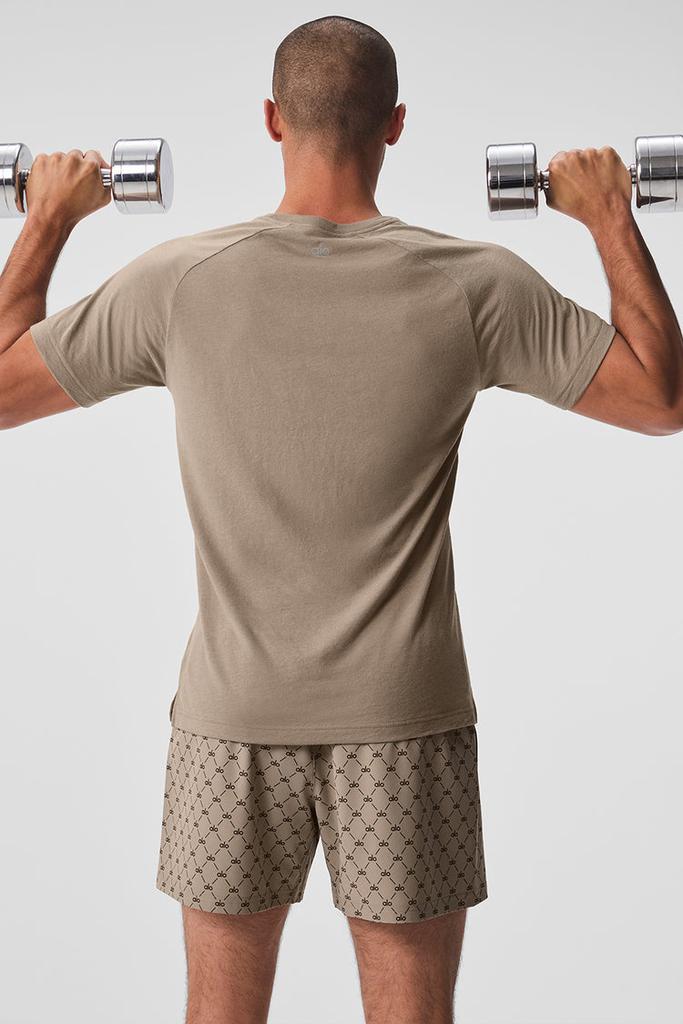 Alo Triumph Raglan Tee - Lunar Grey