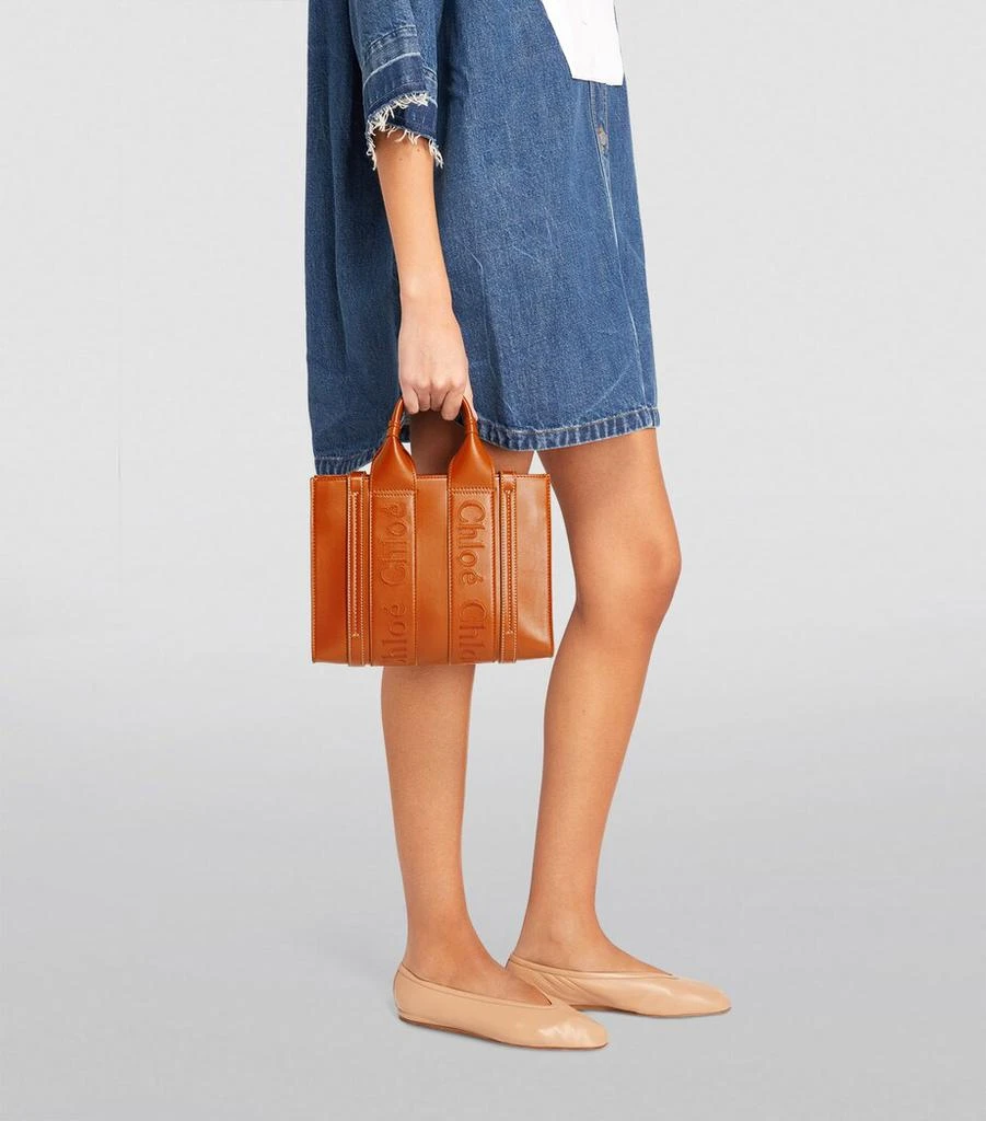 Chloé Small Leather Woody Tote Bag 4
