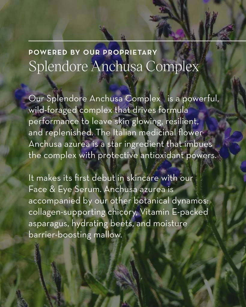 Furtuna Skin Porte Per La Vitalita Face and Eye Serum, 1 oz. 8