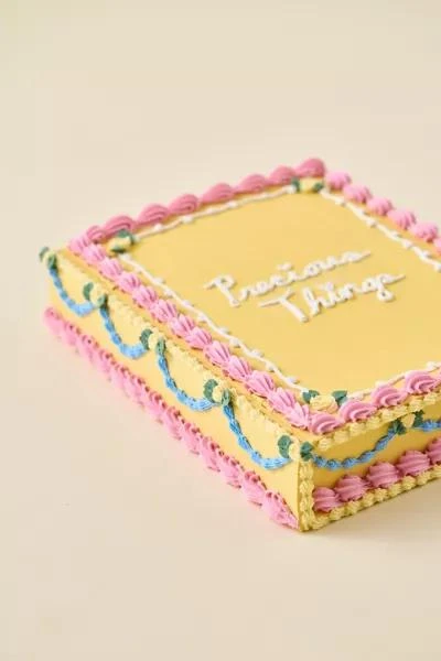 Pretty Shitty Cakes Pretty Shitty Cakes UO Exclusive Trinket Box 4